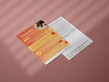 flyer 3