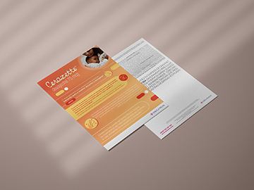 flyer 6